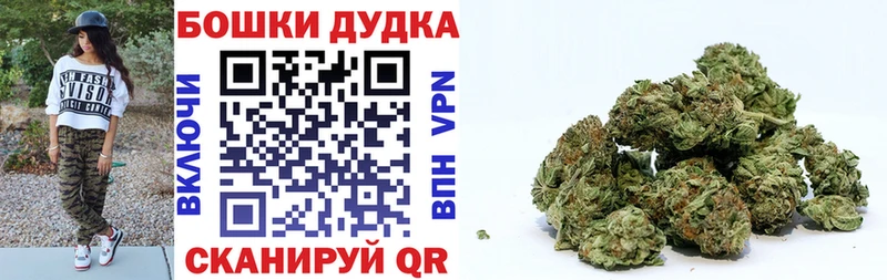  КОКАИН Будённовск