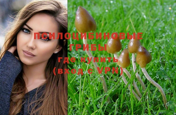 прущие крисы Белоозёрский