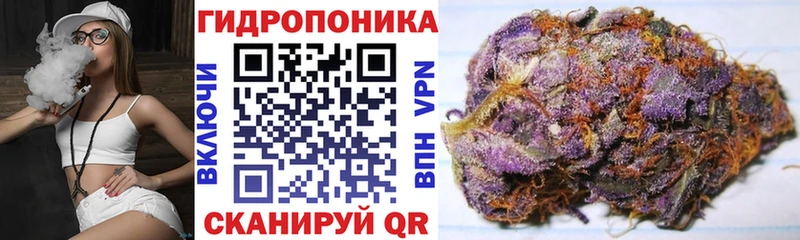 сколько стоит  Будённовск  Бошки Шишки AK-47 